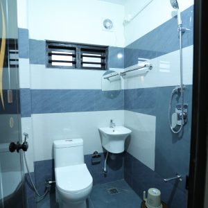 Emberlin holidays (5)